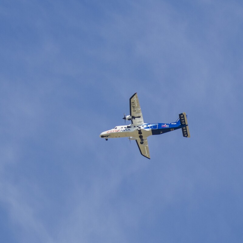 IMG_7011-scaled-sq