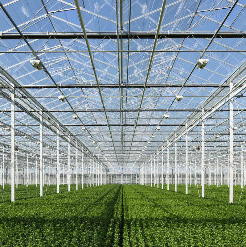 business-farming-01-v20220126