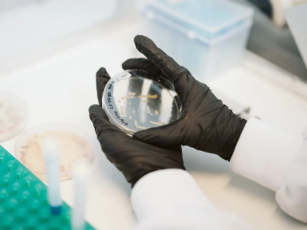 petri-dish-cropped