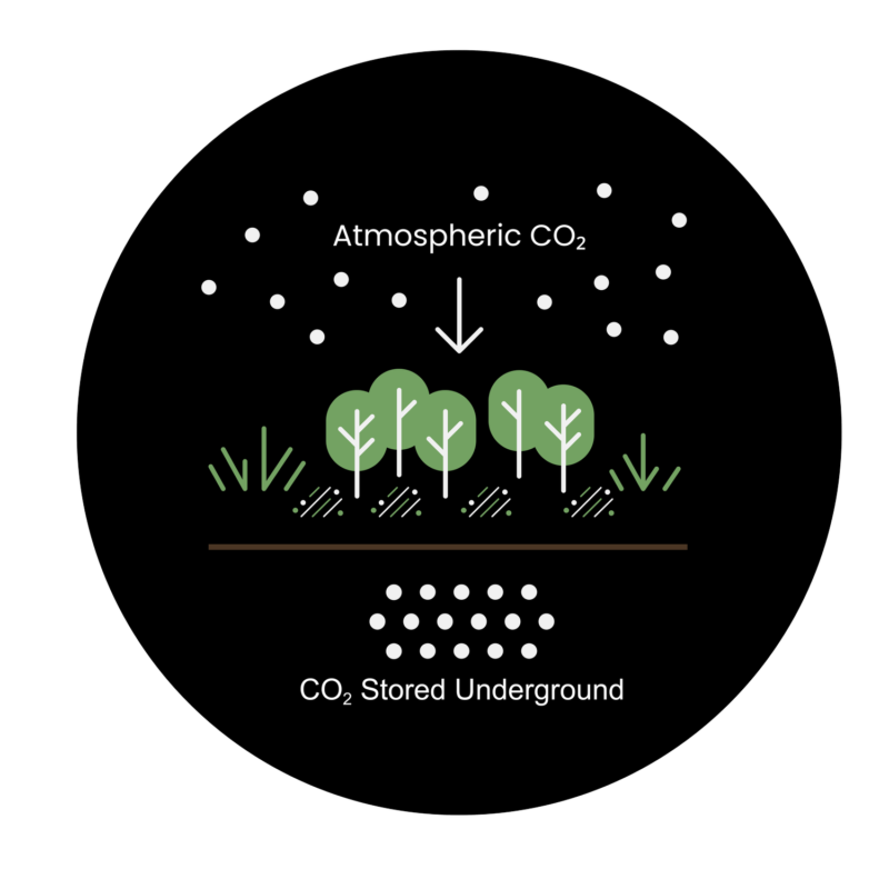 CO2_Underground_Icon1
