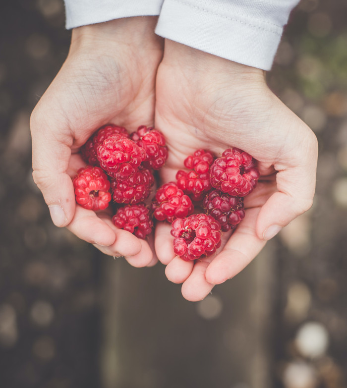 annie-spratt-bB0EsYazzXY-unsplash