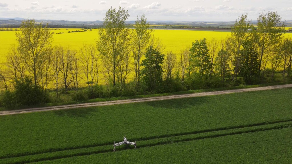 e-terry-field-6
