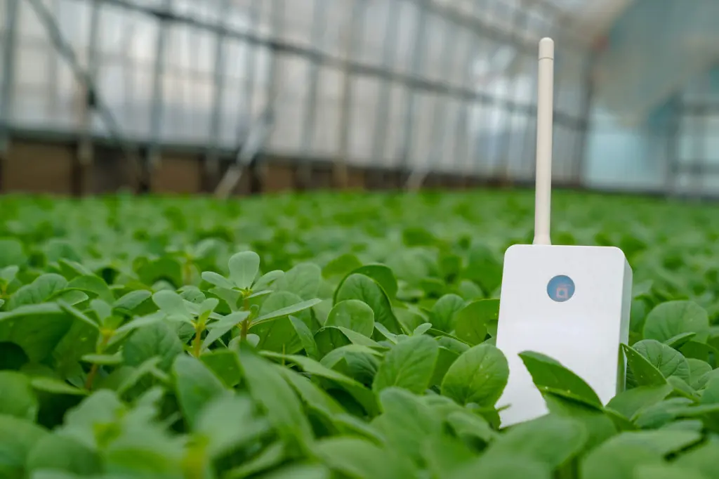 Watering from your smartphone ” Irrigation Control System “