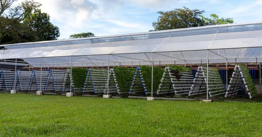 Farm-Photo_Website-copy-1024×536-1