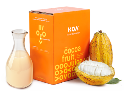 Koa-Pure-web-c-William-Boateng-Grafanna-400×295.png