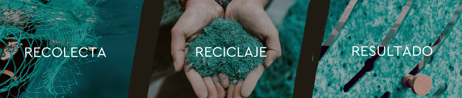 RECOLCTA-1