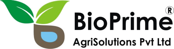 Revised-Logo