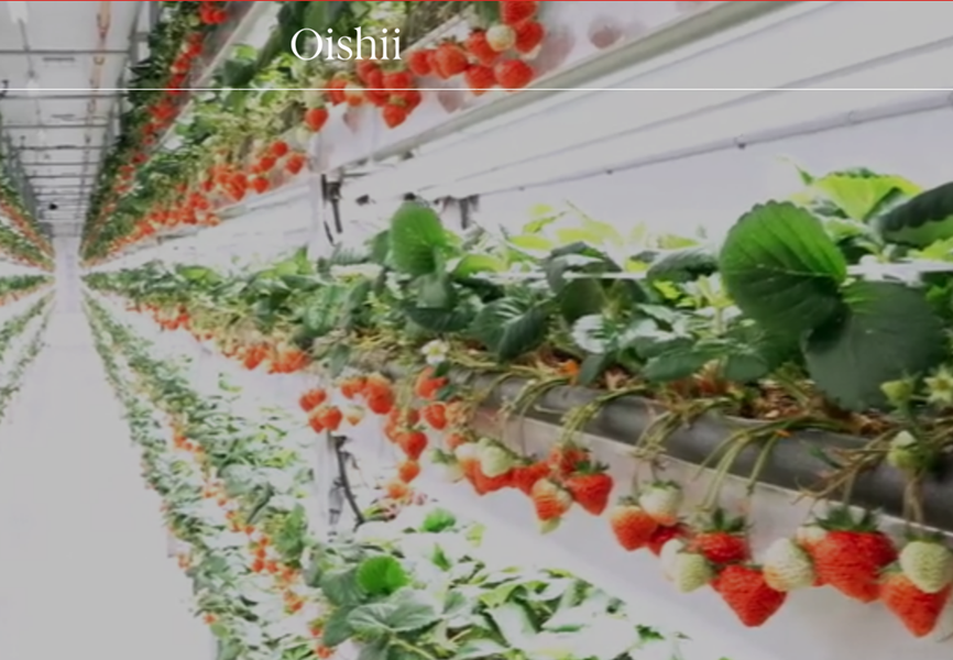 Screenshot-2024-04-14-at-20-57-41-Our-Farms