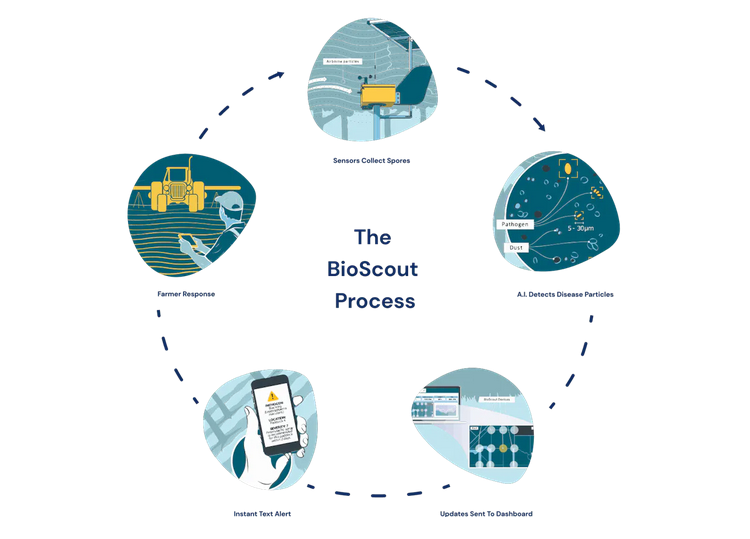 Screenshot-2024-04-22-at-16-32-30-BioScout