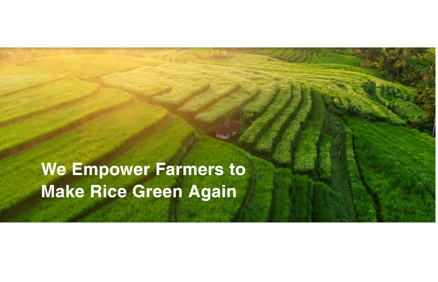 We Empower Farmers to Make Rice Green Again