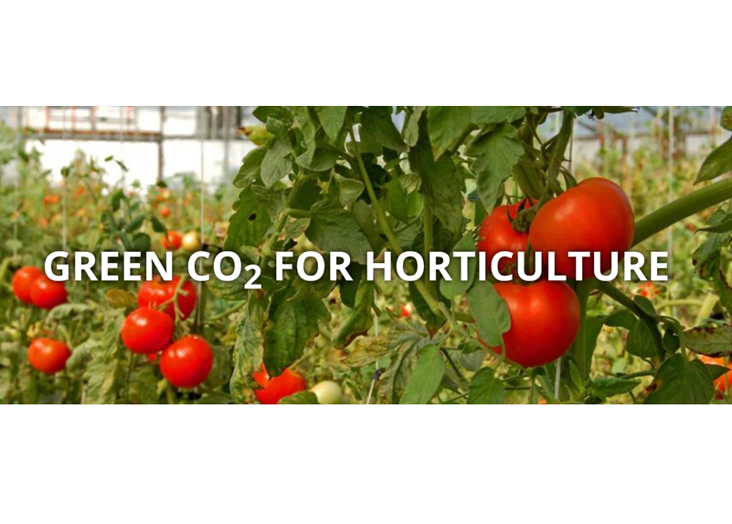 Green CO2 for Horticulture