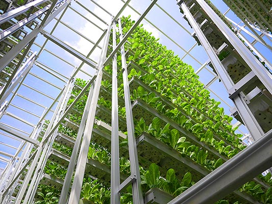 Skygreens-Vertical-Farm1