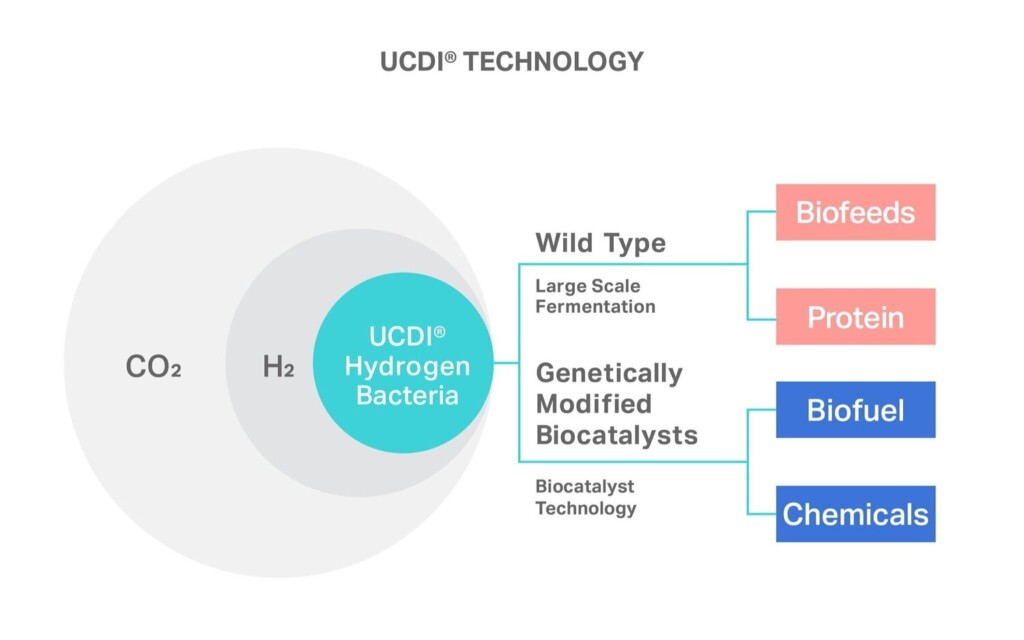 UCDI_CHART_EN-01