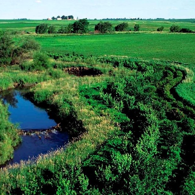 USDA_Riparian_Buffer_2-square
