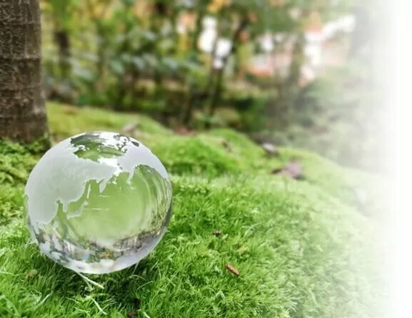 CO2 Absorber Plastics: A Crystal for Everyone’s Environmental Preservation