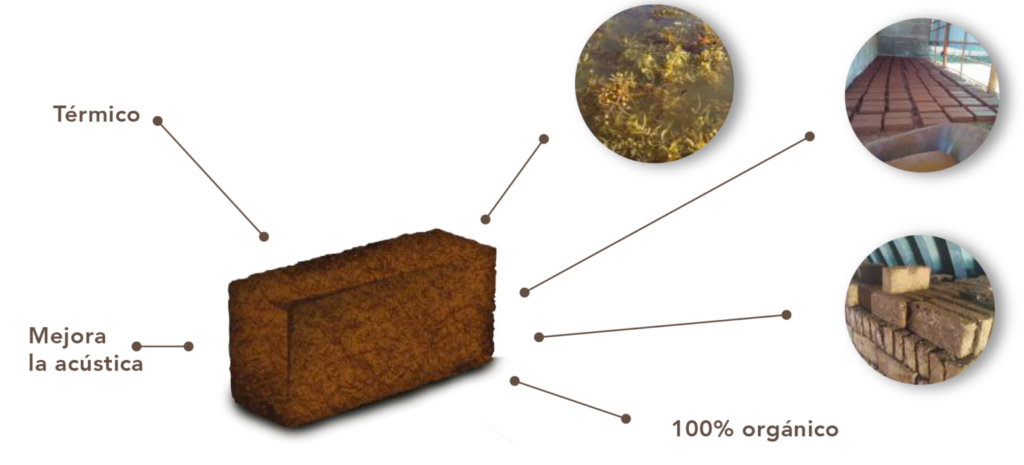 diagrama-1536×698-1