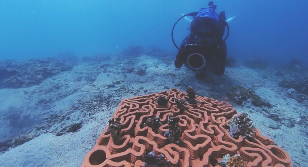 Restoring Degraded Marine ecosystems The world’s first 3D-printed Reef Tile made from clay