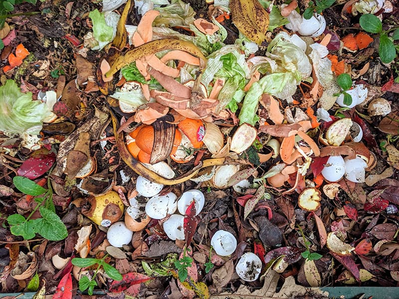 organic-waste-mega-hazard