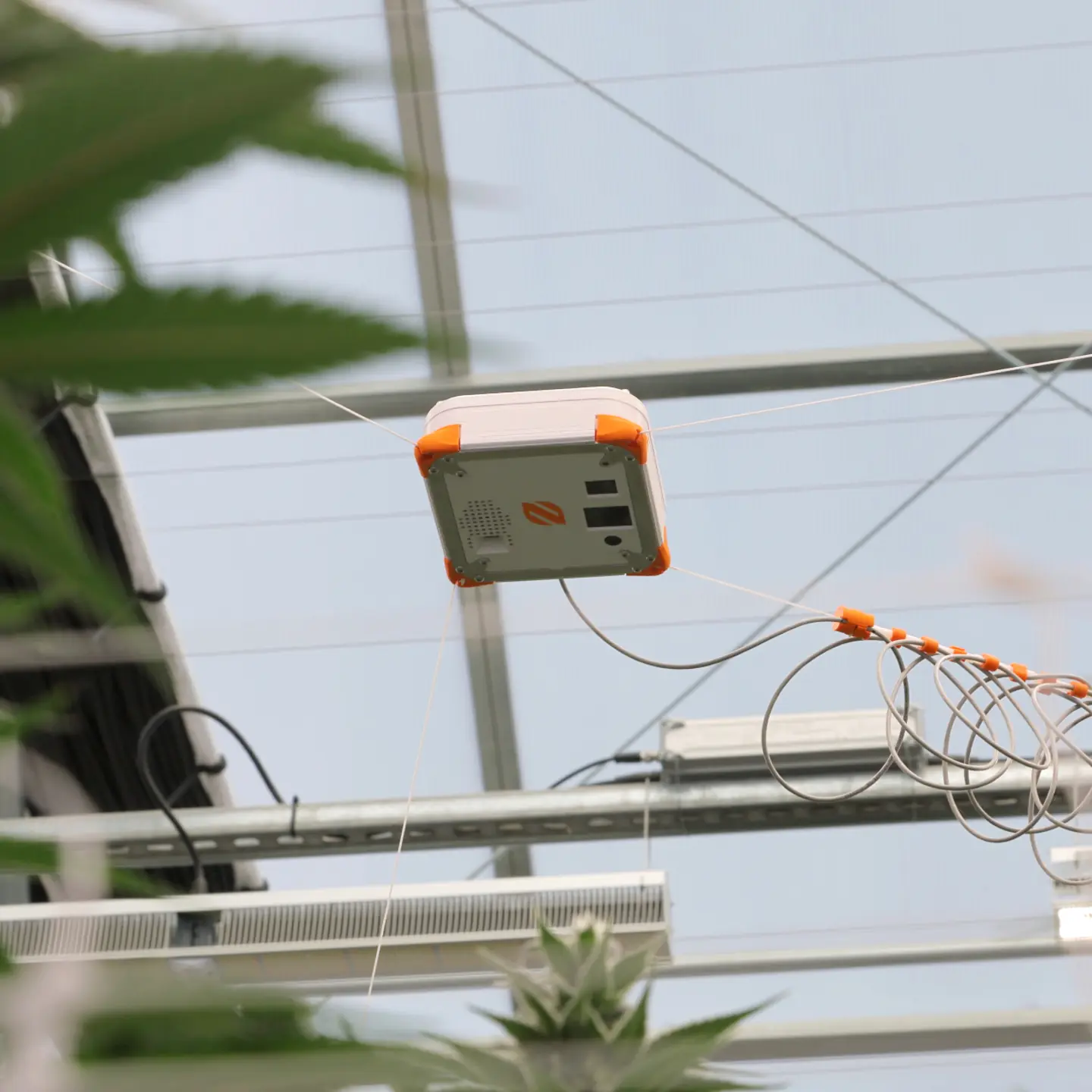 The Neatleaf Spyder / The plant expert that keeps an eye on every plant. All day, every day.