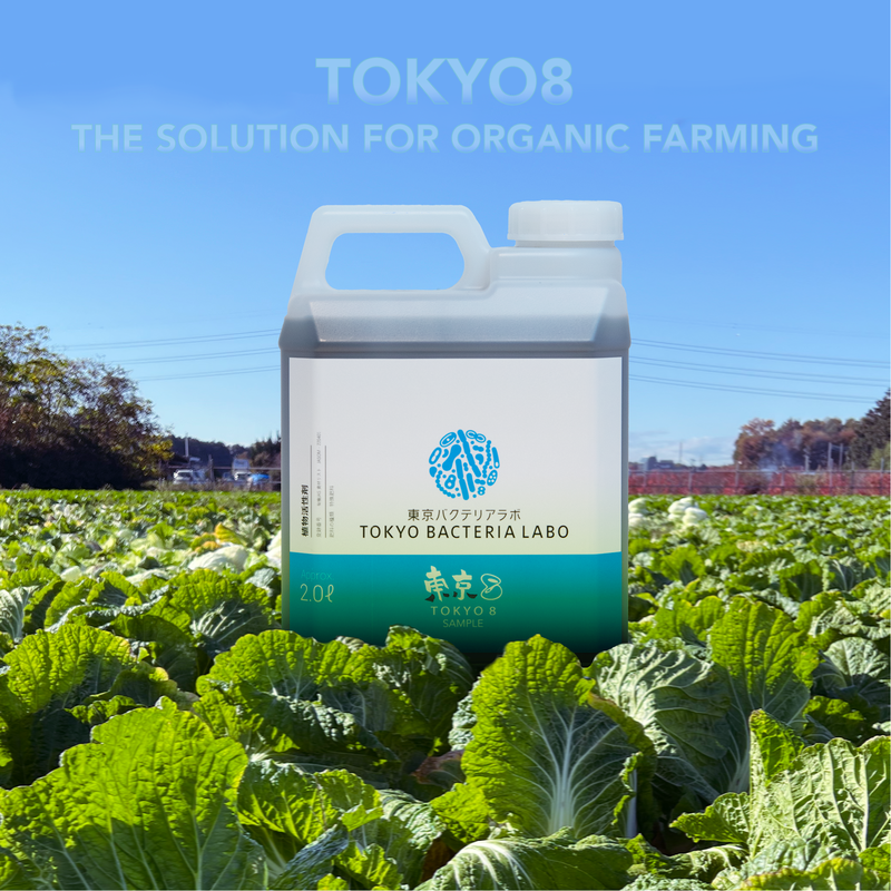 Tokyo8’s diversity for regenerative agriculture