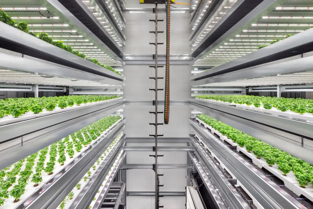 Building a global network of climate-smart farms that are closer to home and better for the planet.