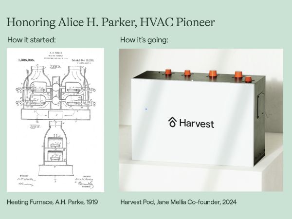 65ef6c485a76642c3a51a8f2_Alice-Parker-Triubte-thumbnail-2