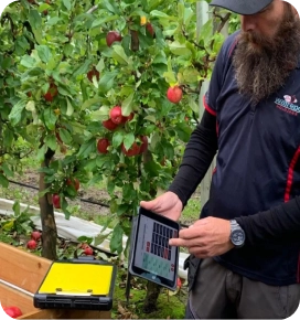 Orchard management and fruit quality software that growers and packers love to use.