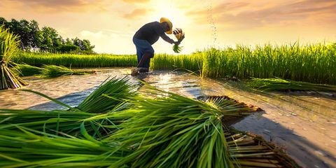 agri900x450_e79cacf46a684c2d9c4de90991b3e237_large
