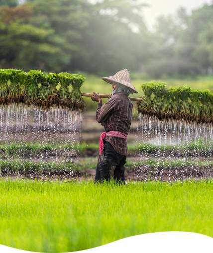 Tech-powered farming for greener, cleaner, and affordable produce for all.