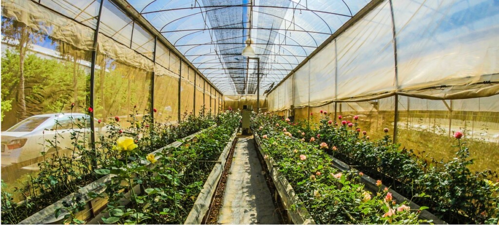 Changing the world, one greenhouse at the time.