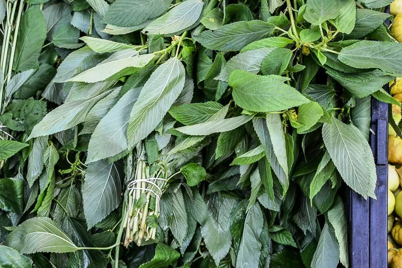 murenda