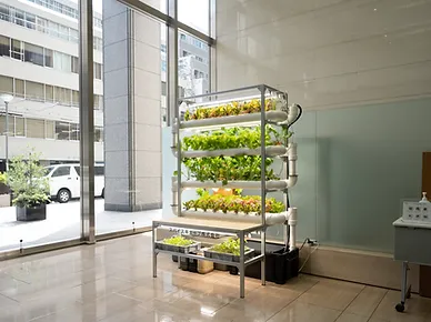 Any available space can be turned into a farm. Small-scale plant factories.