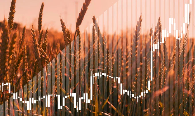 Indigo_Ag_Market_Source_Homepage_2023-1