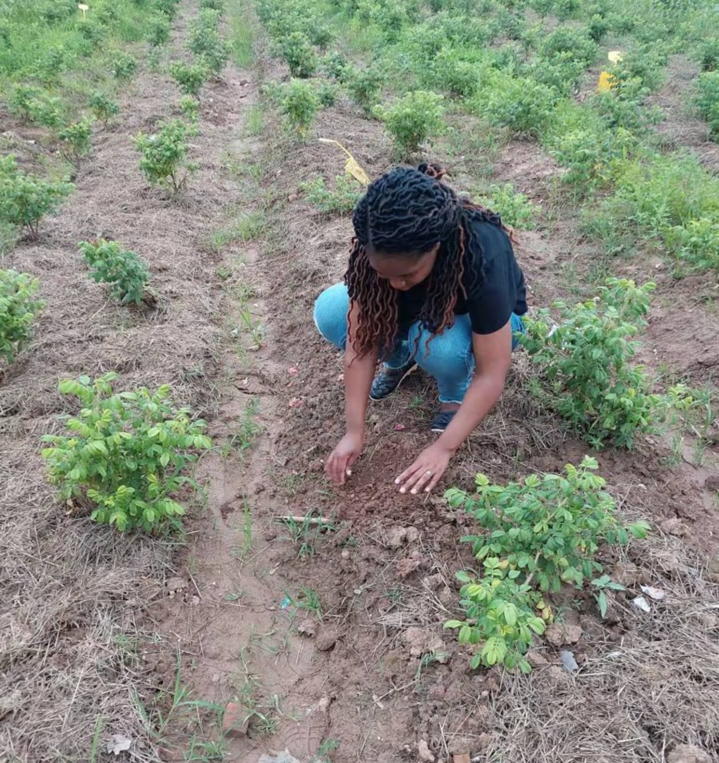 Milca_better_Soil_57adc517b2