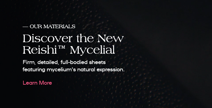 Screenshot-2024-06-18-at-21-15-24-MycoWorks-Growing-the-future-of-materials-with-Fine-Mycelium™