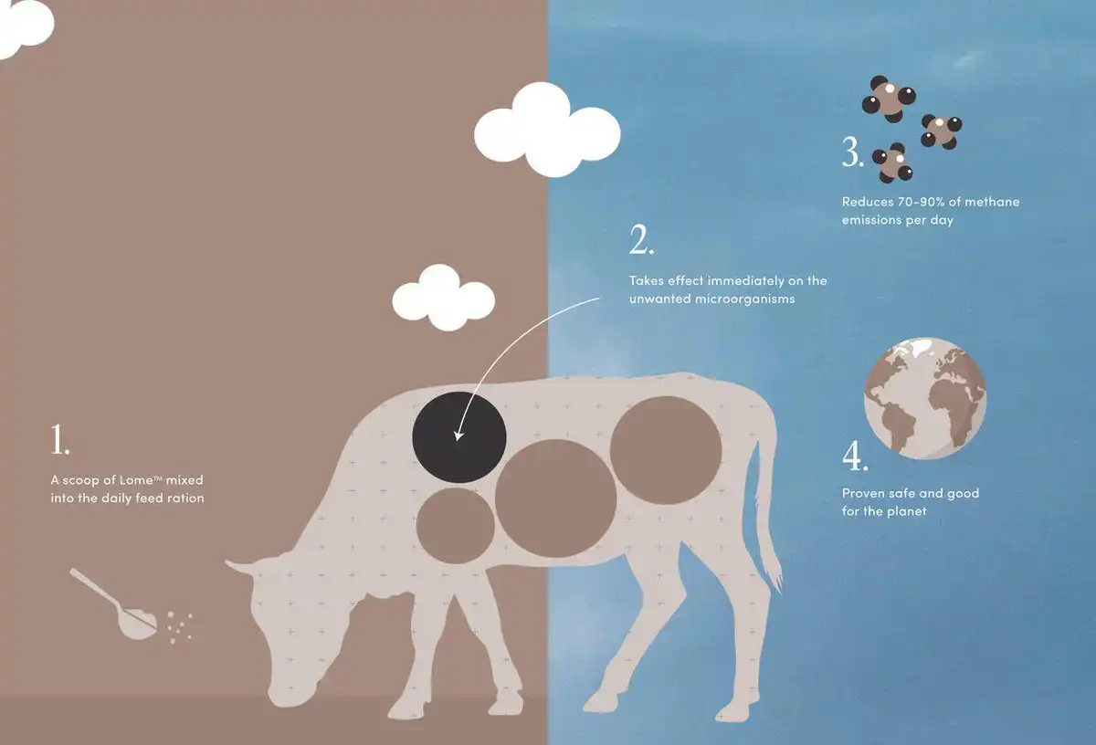 infographic