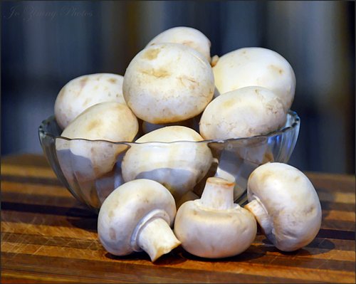Using the power of mushrooms to reduce food waste.